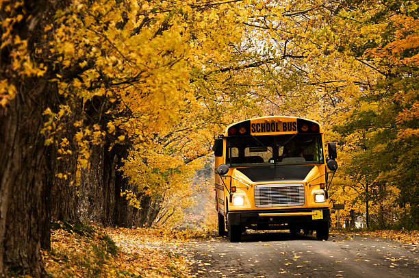 On the Bus